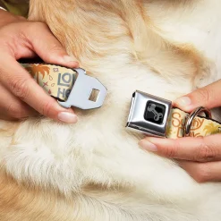 Dog Bone Black/Silver Seatbelt Buckle Collar - Summer Harmony Collage Beige/Multi Color