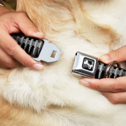 Dog Bone Black/Silver Seatbelt Buckle Collar - Printed Bullets Pattern Black/Gray