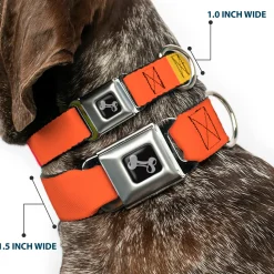 Dog Bone Black/Silver Seatbelt Buckle Collar - Summer Essentials Color Block 9