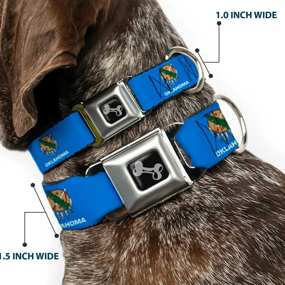 Dog Bone Black/Silver Seatbelt Buckle Collar - Oklahoma State Flag Sky Blue/White