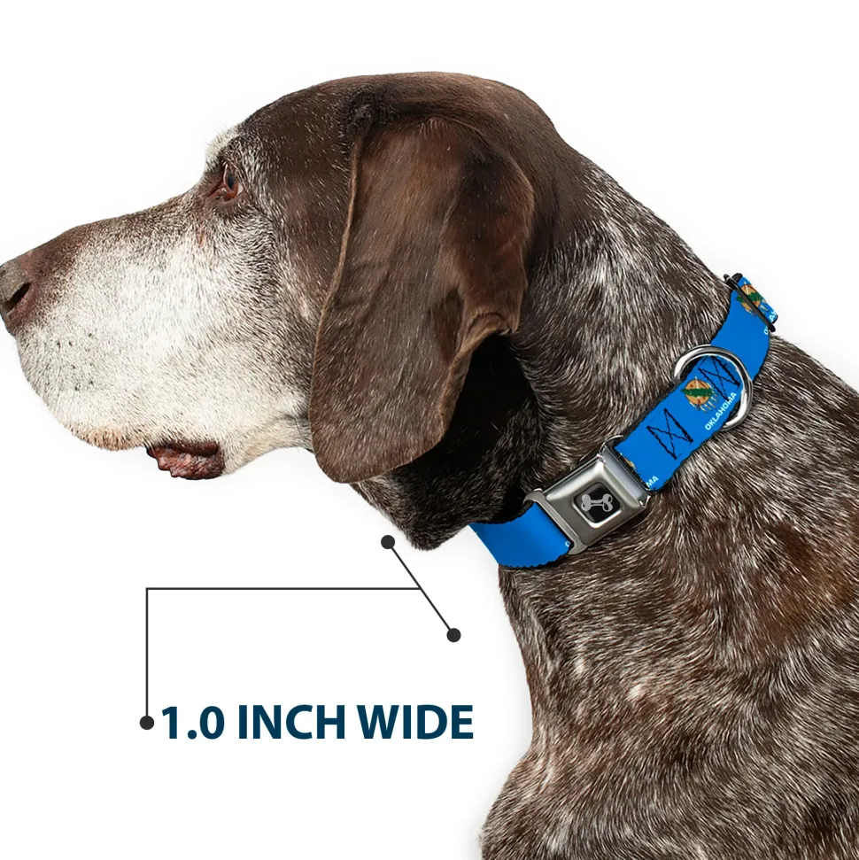 Dog Bone Black/Silver Seatbelt Buckle Collar - Oklahoma State Flag Sky Blue/White
