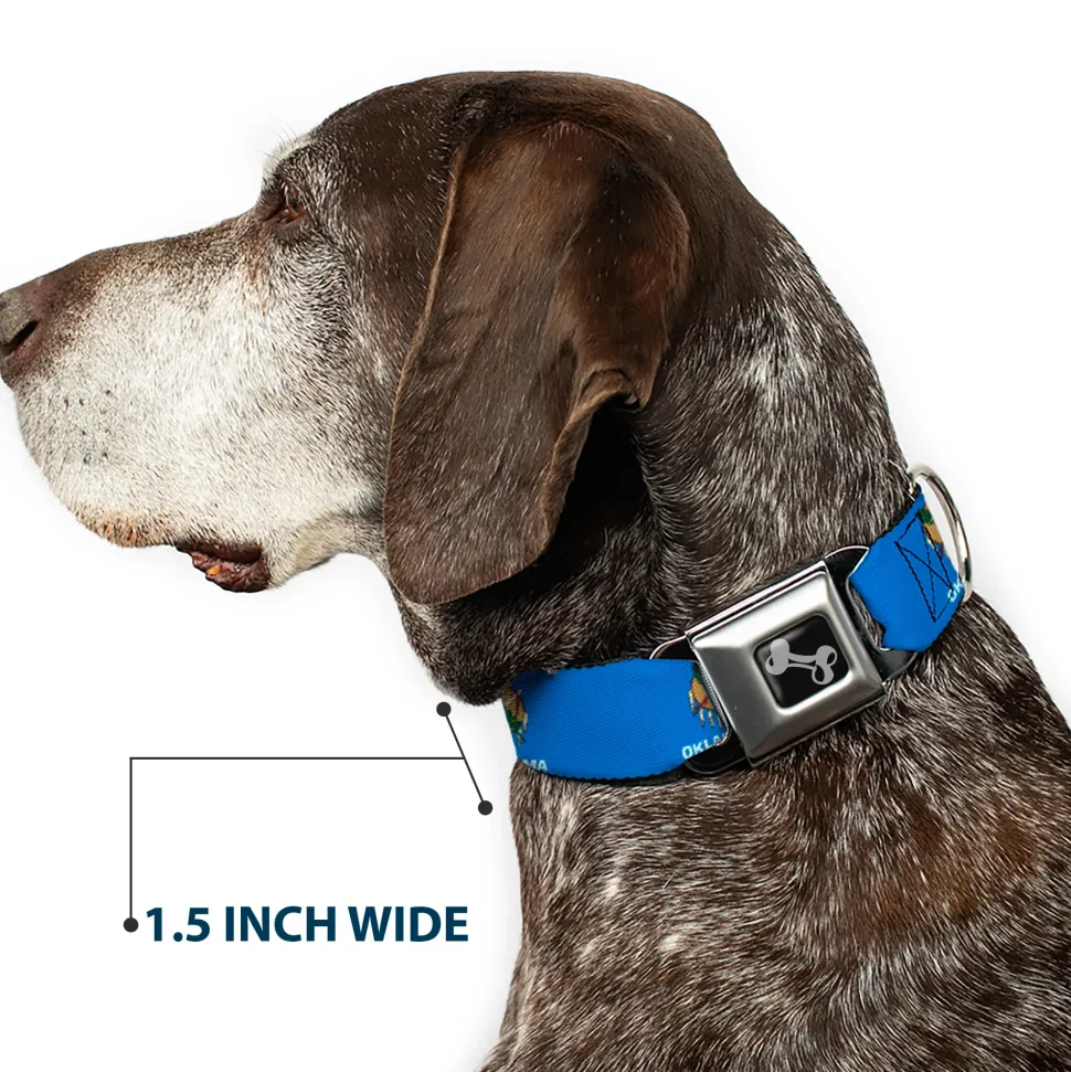 Dog Bone Black/Silver Seatbelt Buckle Collar - Oklahoma State Flag Sky Blue/White