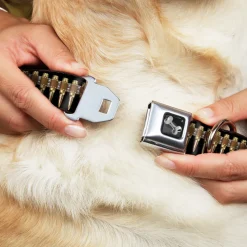 Dog Bone Black/Silver Seatbelt Buckle Collar - Printed Bullets Pattern