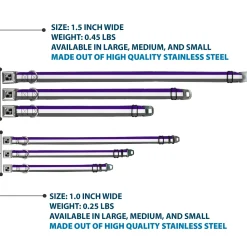 Dog Bone Black/Silver Seatbelt Buckle Collar - Stripes Purple/White/Gray