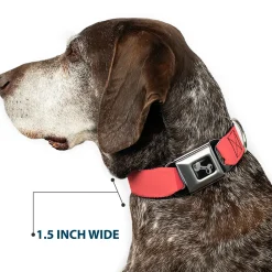 Dog Bone Black/Silver Seatbelt Buckle Collar - Summer Essentials Color Block 8