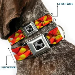 Dog Bone Black/Silver Seatbelt Buckle Collar - Vivid Candy Corn Stacked