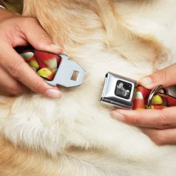 Dog Bone Black/Silver Seatbelt Buckle Collar - Vivid Candy Corn Stacked