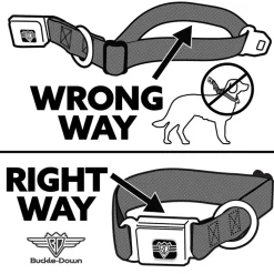 Dog Bone Black/Silver Seatbelt Buckle Collar - SNATCHED Script White/Blue