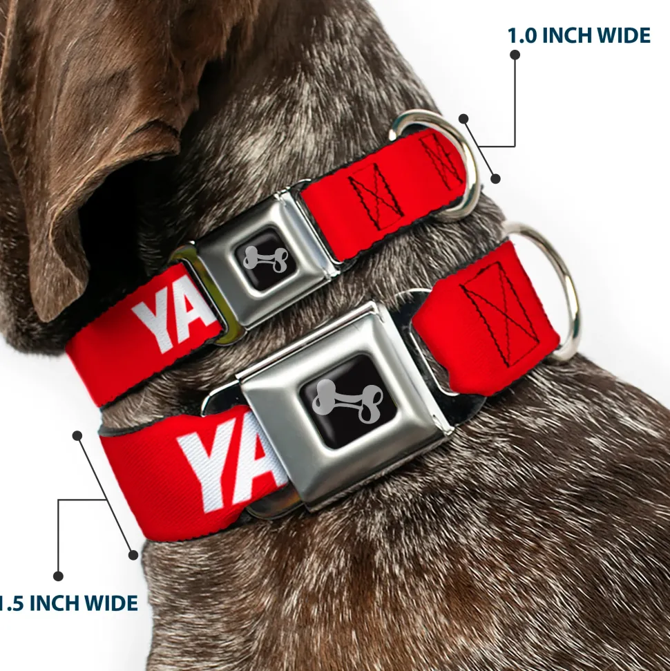 Dog Bone Black/Silver Seatbelt Buckle Collar - YAHWEH Text Red/White