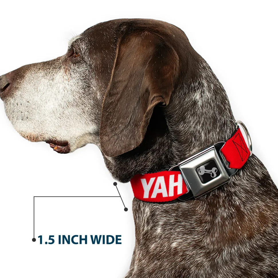 Dog Bone Black/Silver Seatbelt Buckle Collar - YAHWEH Text Red/White