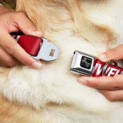 Dog Bone Black/Silver Seatbelt Buckle Collar - YAHWEH Text Red/White