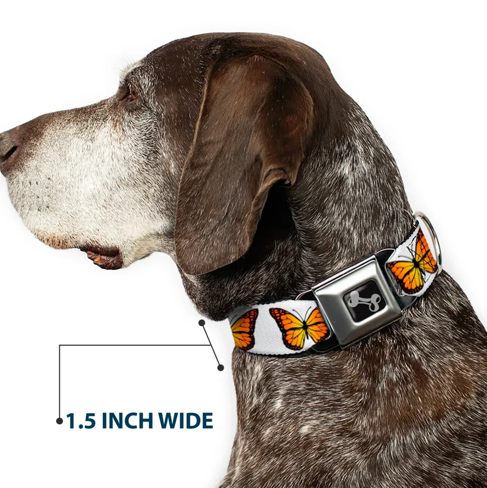Dog Bone Black/Silver Seatbelt Buckle Collar - Monarch Butterfly Repeat White