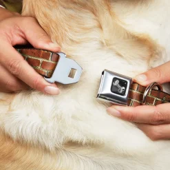 Dog Bone Black/Silver Seatbelt Buckle Collar - Brick Wall