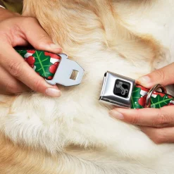 Dog Bone Black/Silver Seatbelt Buckle Collar - Snowy Holly Stripe Reds/White/Greens
