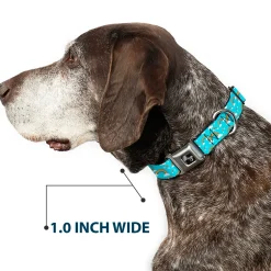 Dog Bone Black/Silver Seatbelt Buckle Collar - Rainbows Scattered Blue