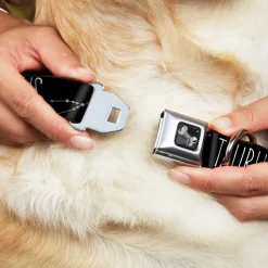 Dog Bone Black/Silver Seatbelt Buckle Collar - Zodiac TAURUS/Constellation Black/White