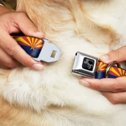 Dog Bone Black/Silver Seatbelt Buckle Collar - Arizona Flag Red/Yellow/Gold/Blue