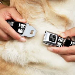 Dog Bone Black/Silver Seatbelt Buckle Collar - FAFO FUCK AROUND AND FIND OUT Bold Black/White