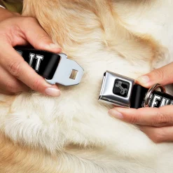 Dog Bone Black/Silver Seatbelt Buckle Collar - SEND IT Black/White