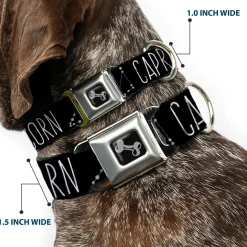 Dog Bone Black/Silver Seatbelt Buckle Collar - Zodiac CAPRICORN/Constellation Black/White