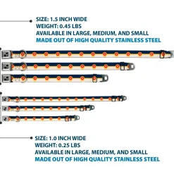 Dog Bone Black/Silver Seatbelt Buckle Collar - Tulsa Oklahoma City Flag Navy Blue/Gold/Red/Beige