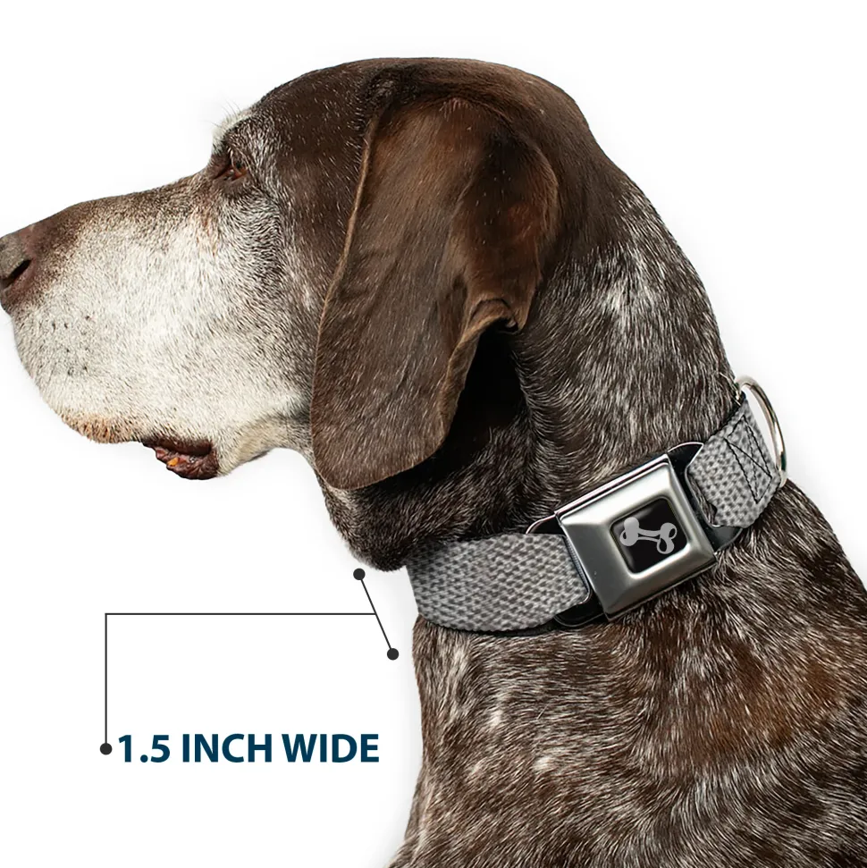 Dog Bone Black/Silver Seatbelt Buckle Collar - Metallic Silver