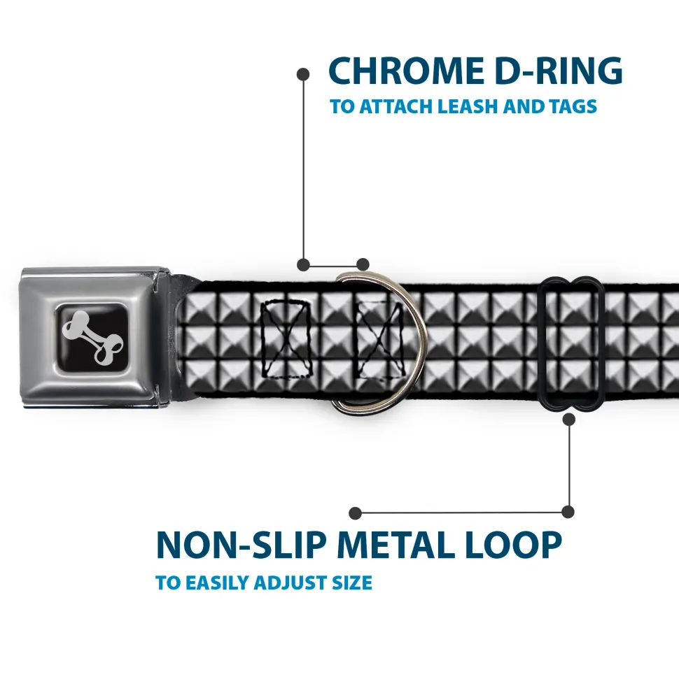 Dog Bone Black/Silver Seatbelt Buckle Collar - Printed Studs