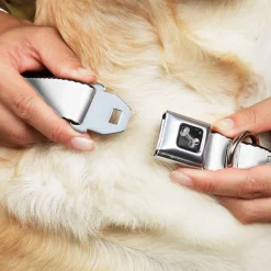 Dog Bone Black/Silver Seatbelt Buckle Collar - Vivid Hot Wings Stacked