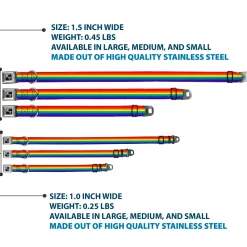 Dog Bone Black/Silver Seatbelt Buckle Collar - Rainbow Print