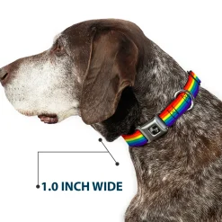 Dog Bone Black/Silver Seatbelt Buckle Collar - Rainbow Print