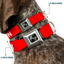 Dog Bone Black/Silver Seatbelt Buckle Collar - Pet Quote CAUTION Red/White