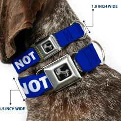 Dog Bone Black/Silver Seatbelt Buckle Collar - Pet Quote DO NOT FEED Navy/White