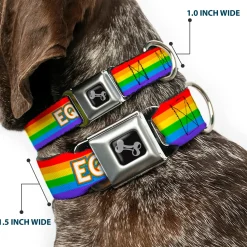 Dog Bone Black/Silver Seatbelt Buckle Collar - EQUALITY/Stripe Rainbow/White