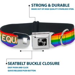Dog Bone Black/Silver Seatbelt Buckle Collar - EQUALITY/Stripe Rainbow/White