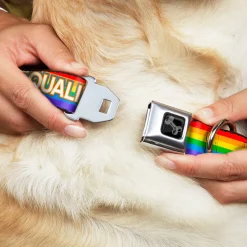 Dog Bone Black/Silver Seatbelt Buckle Collar - EQUALITY/Stripe Rainbow/White