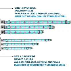 Dog Bone Seatbelt Buckle Collar - Anchor/Stripe Teal/White/Purple