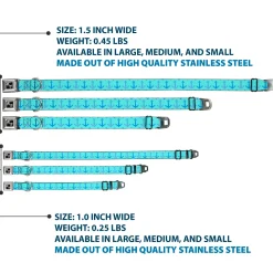 Dog Bone Seatbelt Buckle Collar - Anchor2 CLOSE-UP Turquoise/Blues