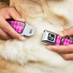 Dog Bone Seatbelt Buckle Collar - Argyle Pink/Fuchsia/Blue
