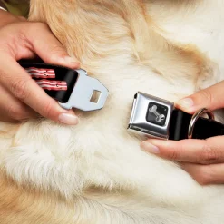 Dog Bone Seatbelt Buckle Collar - Bacon & Eggs Black