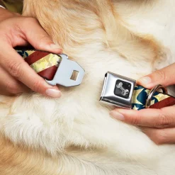 Dog Bone Seatbelt Buckle Collar - Americana Diagonal Vintage Stars & Stripes2