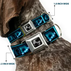 Dog Bone Seatbelt Buckle Collar - $1 Bill X-Ray