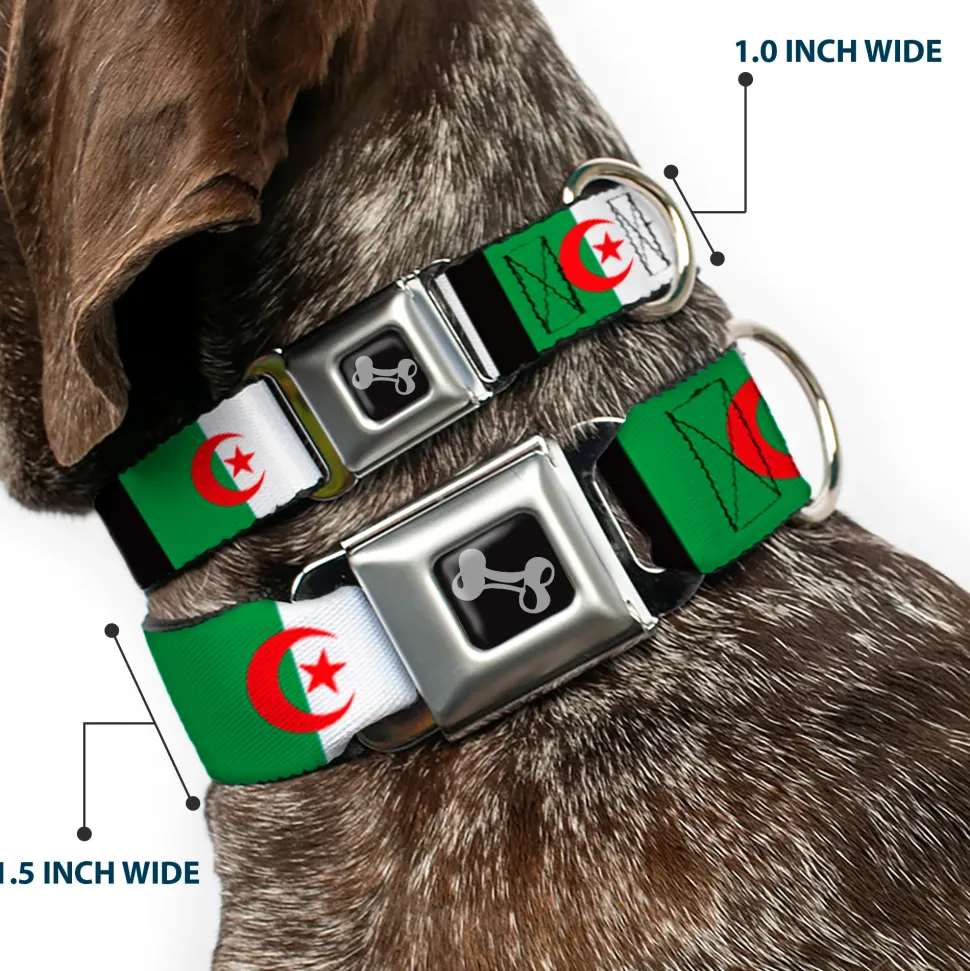 Dog Bone Seatbelt Buckle Collar - Algeria Flags