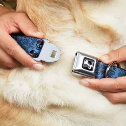 Dog Bone Seatbelt Buckle Collar - Bandana/Skulls Baby Blue/Black