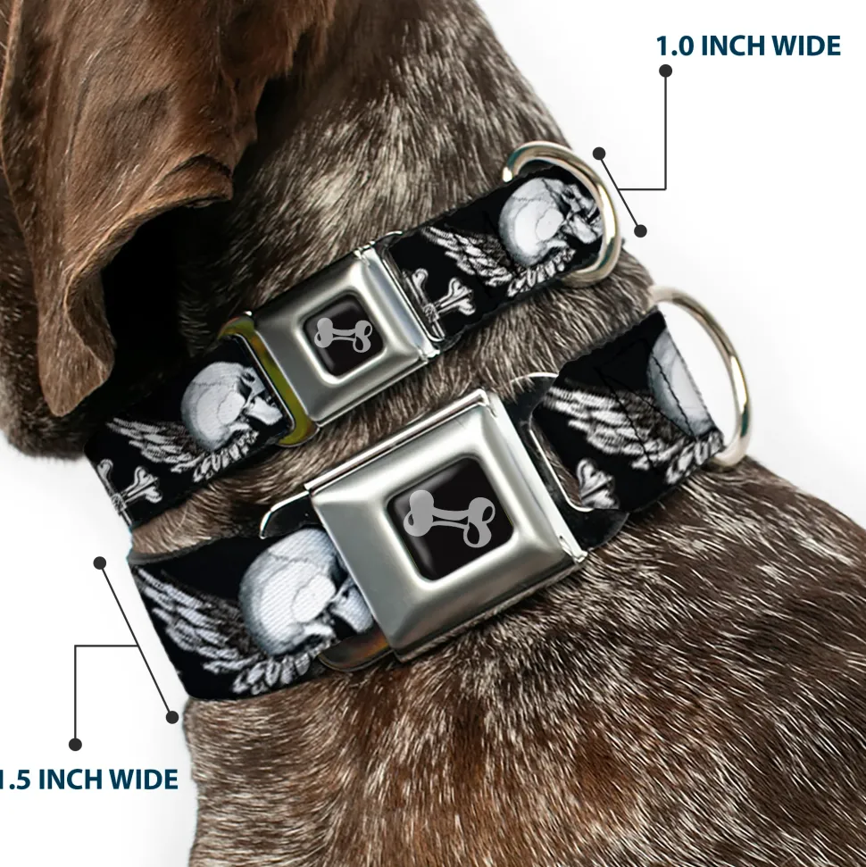 Dog Bone Seatbelt Buckle Collar - BD Skulls w/Wings Black/White