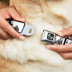 Dog Bone Seatbelt Buckle Collar - Ace of Spades