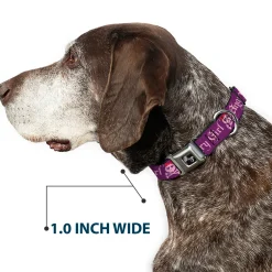 Dog Bone Seatbelt Buckle Collar - Angry Girl Purple/Pink