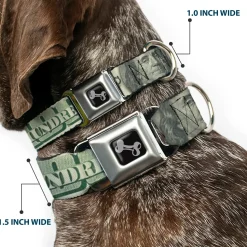 Dog Bone Seatbelt Buckle Collar - 100 Dollar Bill CLOSE-UP/Triple Benjamin