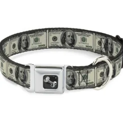Dog Bone Seatbelt Buckle Collar - 100 Dollar Bills