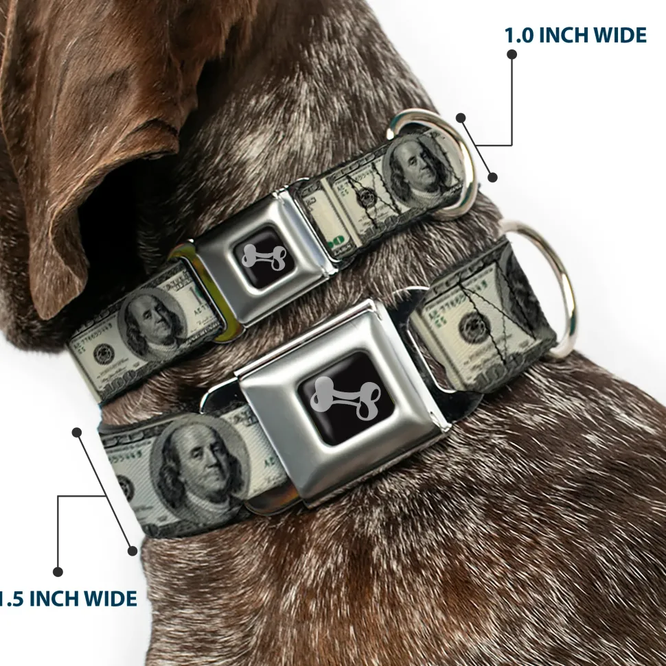 Dog Bone Seatbelt Buckle Collar - 100 Dollar Bills