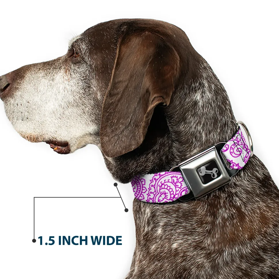 Dog Bone Seatbelt Buckle Collar - Bandana/Skulls White/Purple